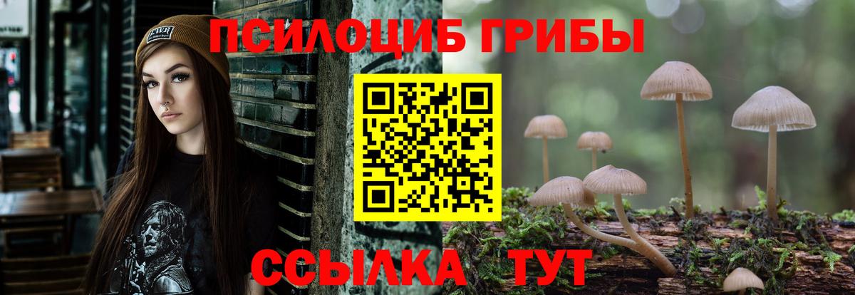 Галлюциногенные грибы мицелий Шали