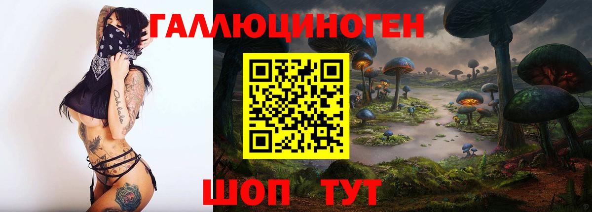 Псилоцибиновые грибы Cubensis  Вход с VPN  Шали 